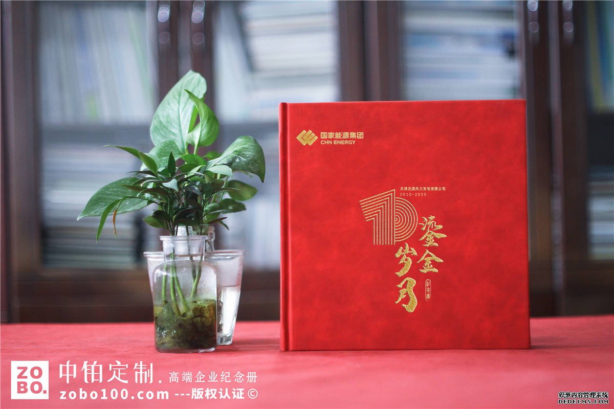 企业成立十周年纪念画册